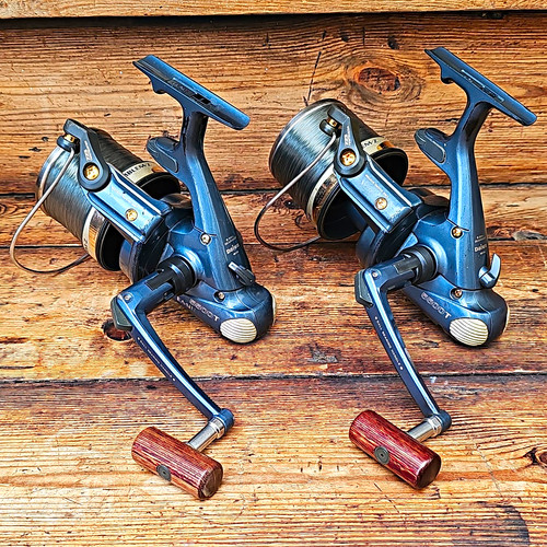 Daiwa emblem 5500 - emblem, carp
