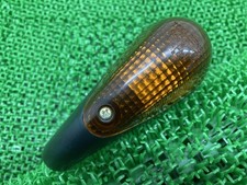 Left Rear Turn Signal for