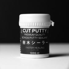 PREMIUM BONSAI CUT PUTTY