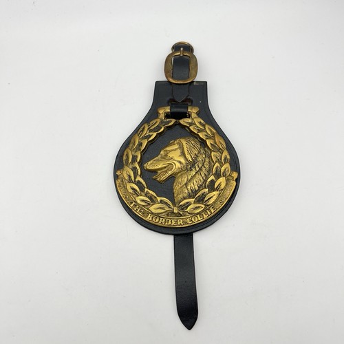 Border collie dog horse brass - collie,