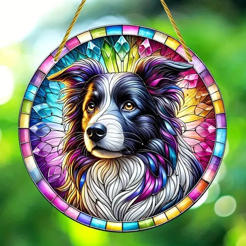 Border collie suncatcher - border,
