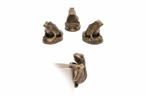 Frog potty feet and - potty,