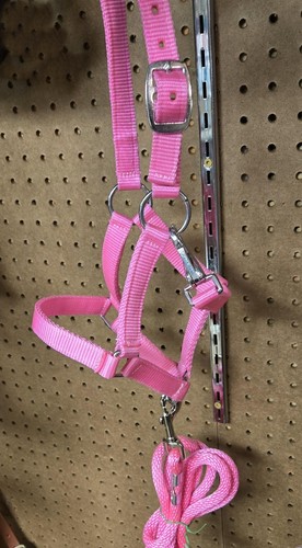 Miniature horse halter - miniature, &