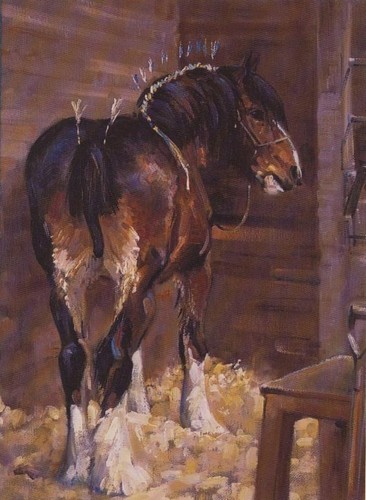 Shire horse suffolk punch - horse,