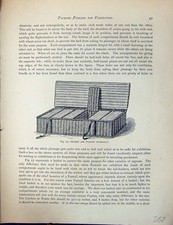 Old Antique Print Birds Fulton Wright C1880 Pigeon Basket Carrying Box 19th