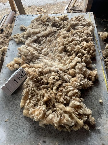 Norfolk horn raw unwashed - raw,