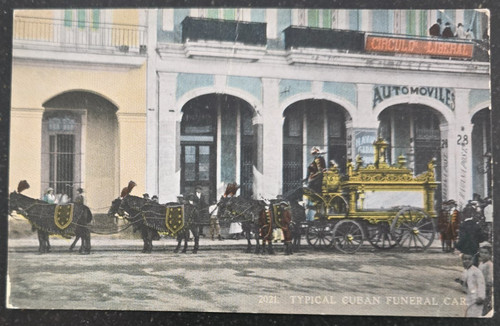Antique postcard horse - antique,