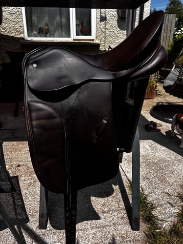 Jeffries high wither dressage - jeffries,