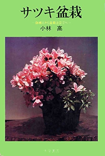 Satsuki azalea bonsai - satsuki,