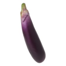 Artificial Eggplants