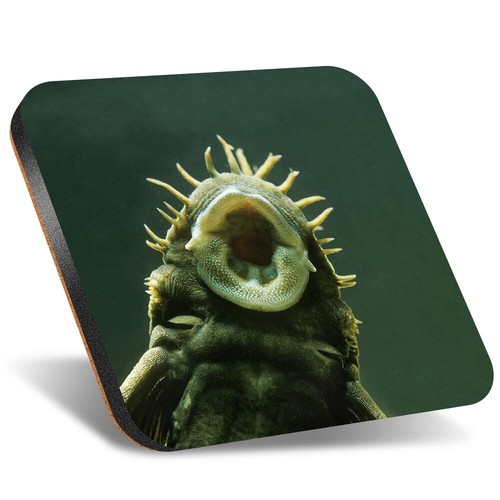 Square coaster 12cm - 1x,