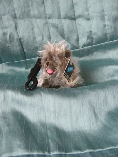 The wizard toto small - ,