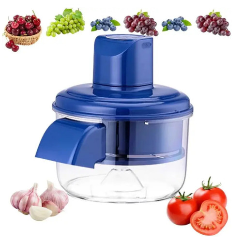 Electric fruit and vegetable - and,