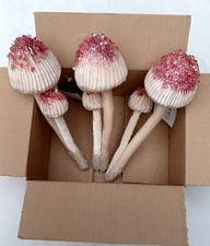 CLEARANCE Pink Mushroom