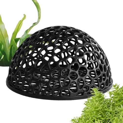 Shrimp breeding cave fish tank - breeding,