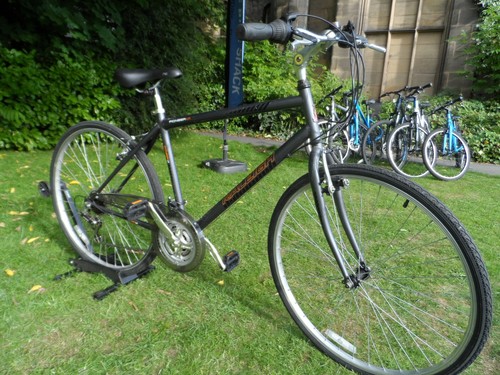 Raleigh pioneer bike - u1,