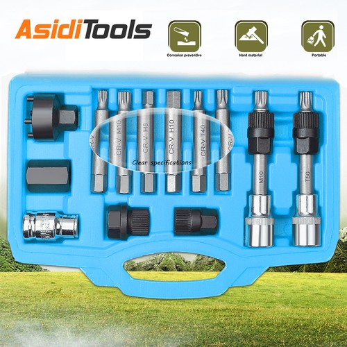 13pcs alternator freewheel - alternator,