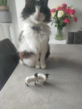 Vintage Beswick Farm Animals - Black-Faced Sheep X 2