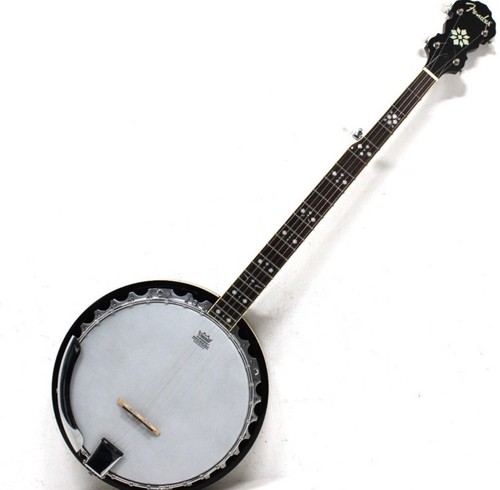 Fender string banjo - fender,