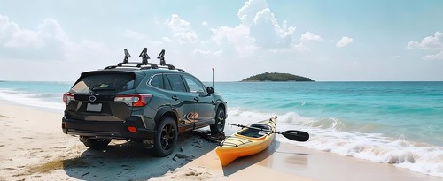 Kayak roof rack saddles - roof, crab
