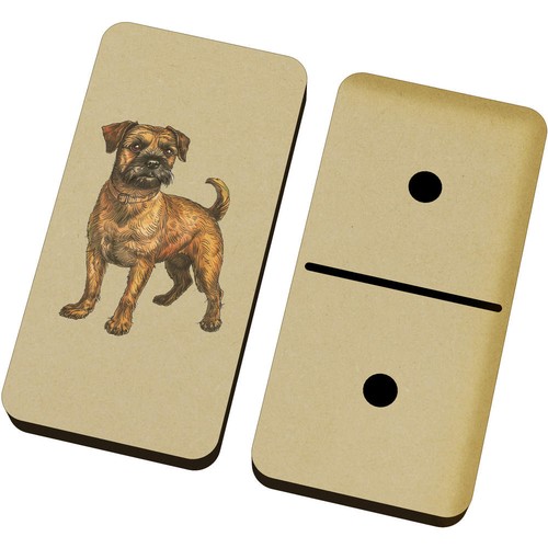 Border terrier standing - terrier, standing'