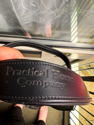 Practical horse company - company, bridle