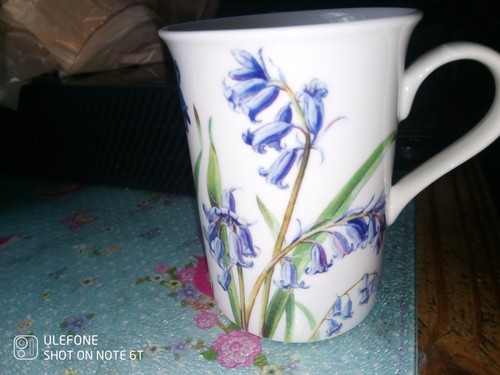 New stechol bluebell - new,