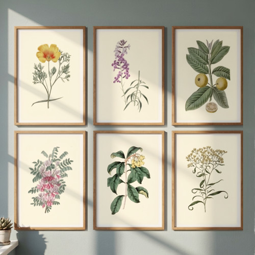 Set vintage botanical art - 6,