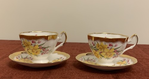 Salisbury bone china cups - salisbury,