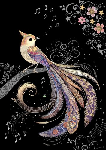 Bug art paradise bird - bird, embossed