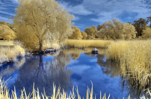 Nikon d90 infrared converted - infrared,