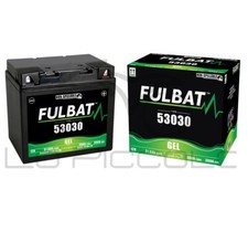 53030 SEALED FULBAT GEL