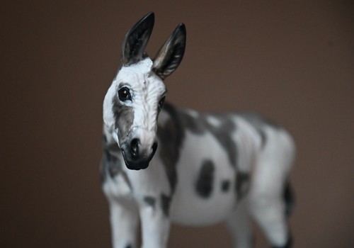 Artist resin custom deb - artist,