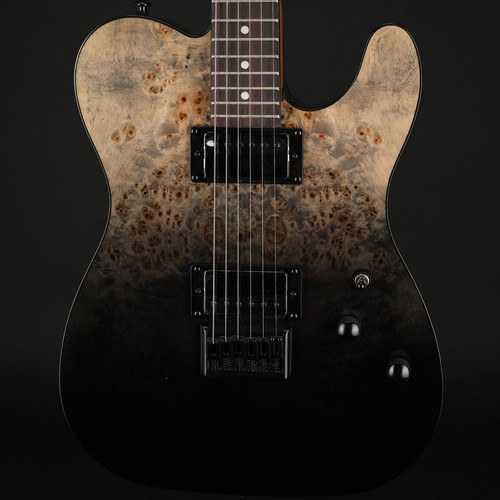 Schecter standard black - schecter,