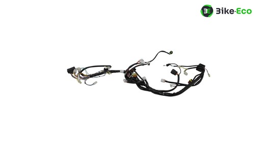 Electric harness aprilia rxv - aprilia,
