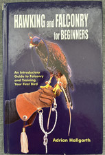 Hawking & Falconry for