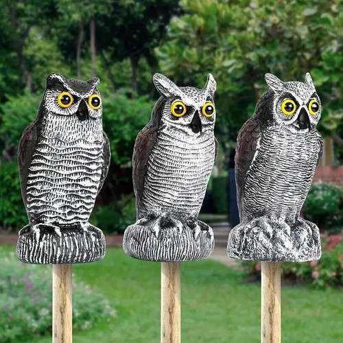 Owl decoy statue protect - owl,