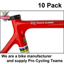 10x Personalised bike frame