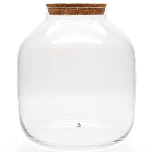 Large glass terrarium jar - terrarium,