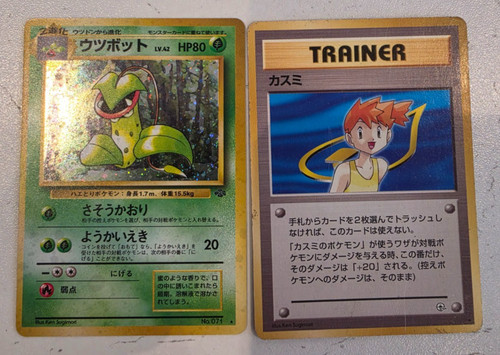 Misty gym leader stadium - stadium, &