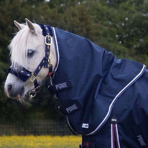 Neck cover gallop rug - 5, point