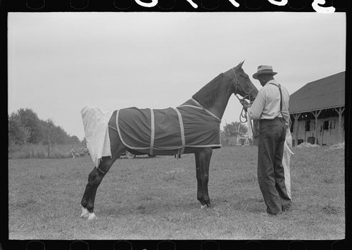 Shelbyville kentucky 1940 - shelbyville,