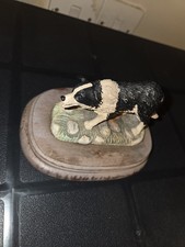 Border Fine Arts Border Collie