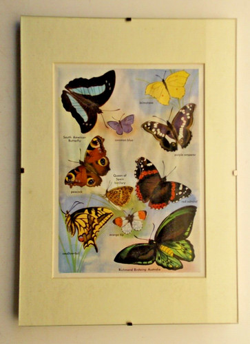 Framed vintage book - vintage,