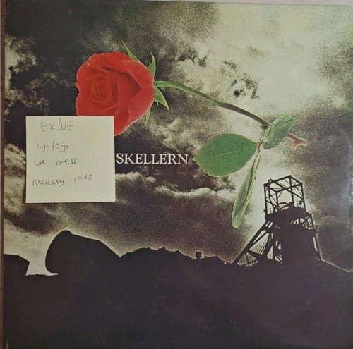 Peter skellern vinyl - skellern,