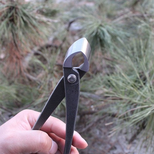 210mm carbon steel bonsai - 210mm,