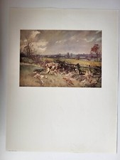 Antique Leicestershire Colour Print 1935 Fox Hunting Scene