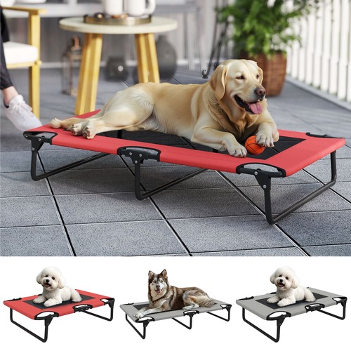 Portable raised dog - raised, with