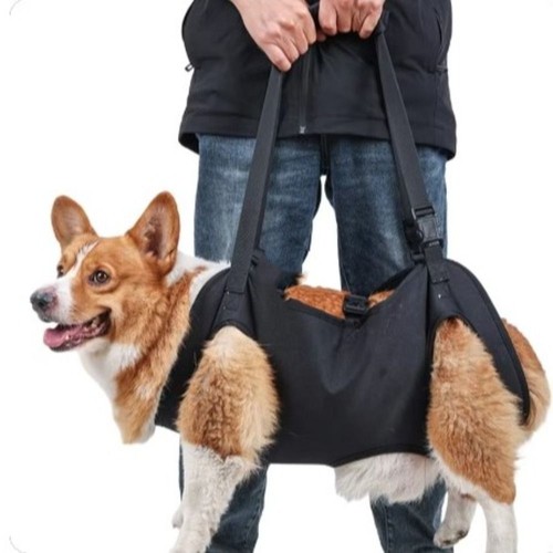 Portable dog sling - dog, carrier