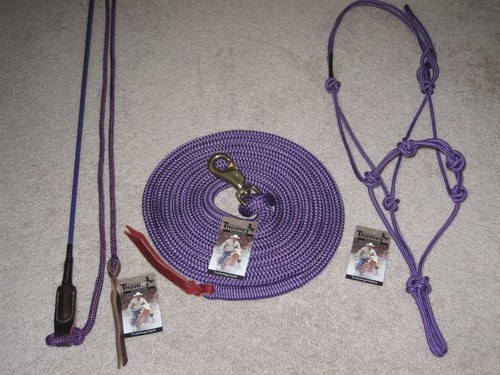 Thomey horse training - training, set~